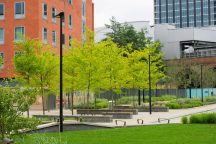 Sovereign Square features new green spaces in the heart of the city centre. Credit Simon Vine.