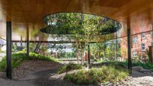dRMM Architects’ Maggie’s Oldham opens as world’s first building made from hardwood CLT