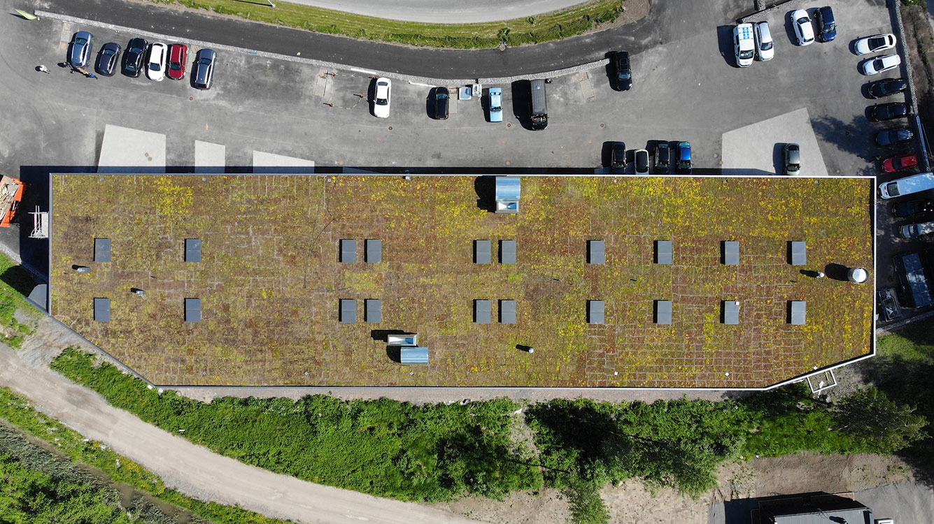 Biodiversity and people’s wellbeing; green roofing is a cut above