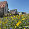 How to build greener homes