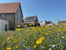 How to build greener homes