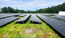 Improve your green roof knowledge with Optigrun CPDs